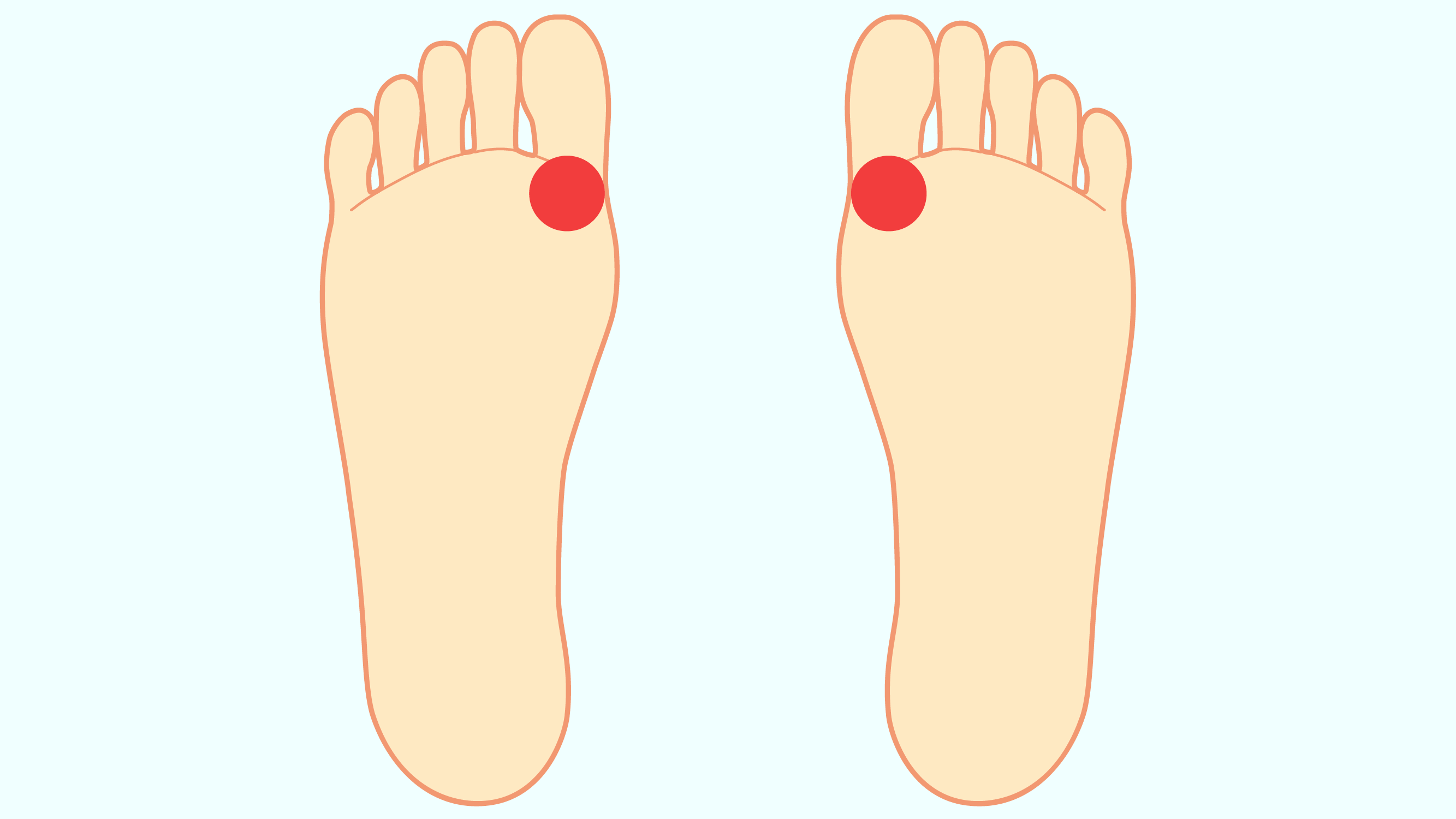 足の裏：母趾のつけ根（メカノレセプター）の位置
