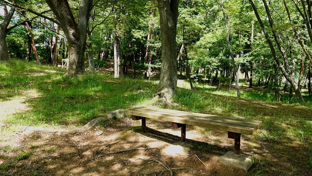 潜在性ウイルスの症状──体調を見直すきっかけに