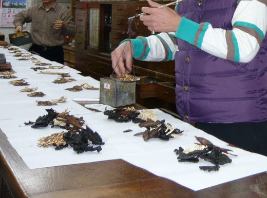 漢方は日本で独自に発展(その1)