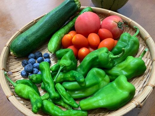 旬の野菜で夏を乗り切る