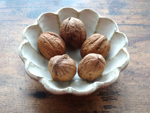 家庭内のホコリからくるみアレルゲンが!くるみアレルギーの増加に関与?